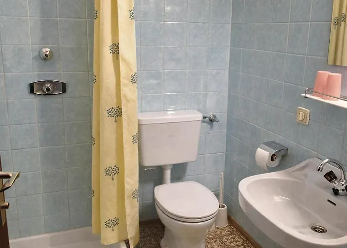 Проживание в семье Karner *